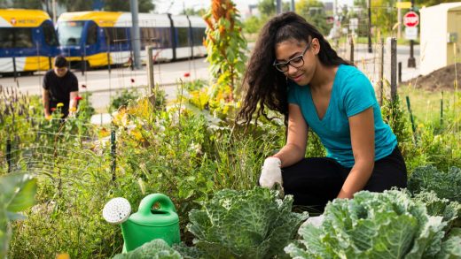 These are the 10 best U.S. cities for urban parks