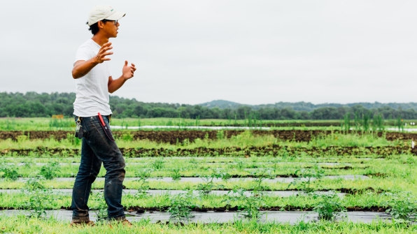 Why this restaurant chain is in the farming business | DeviceDaily.com