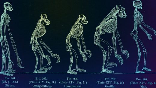 We’re all getting dumber, says science