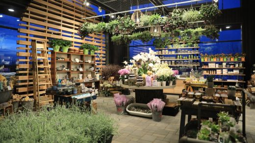 Whole Foods launches a wellness-inspired home goods shop