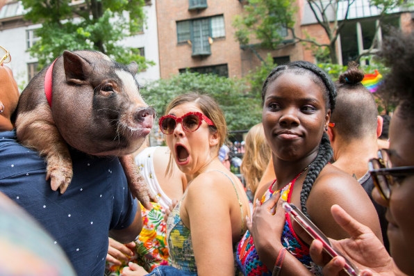 PHOTOS: NYC Pride March draws a defiant and resilient crowd | DeviceDaily.com