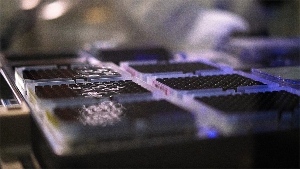With this startup’s help, gene-editing tech will soon be everywhere | DeviceDaily.com With this startup’s help, gene-editing tech will soon be everywhere | DeviceDaily.com