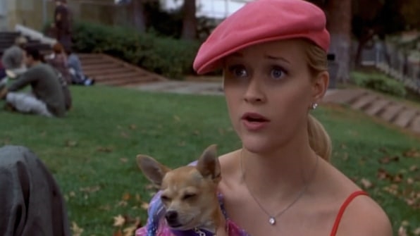 Looking back at “Legally Blonde” as a proto-#MeToo manifesto | DeviceDaily.com