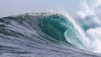 The Trade Desk launches its ‘Next Wave’