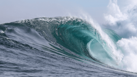 The Trade Desk launches its ‘Next Wave’