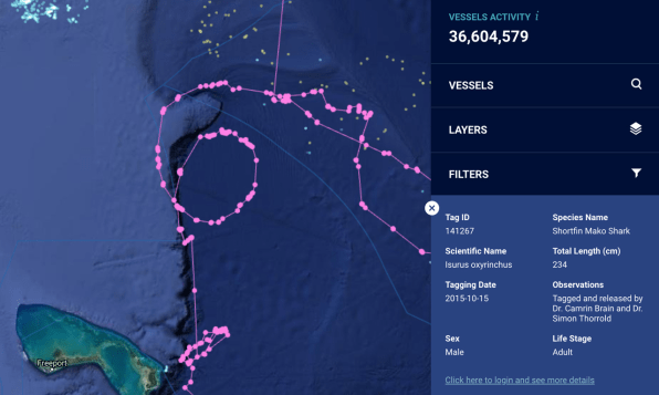 This interactive map shows how fishing is killing sharks | DeviceDaily.com