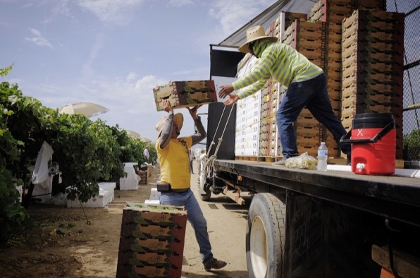 How a small worker-controlled farm collective could transform labor for decades | DeviceDaily.com