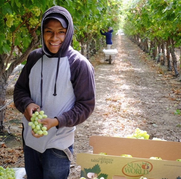 How a small worker-controlled farm collective could transform labor for decades | DeviceDaily.com