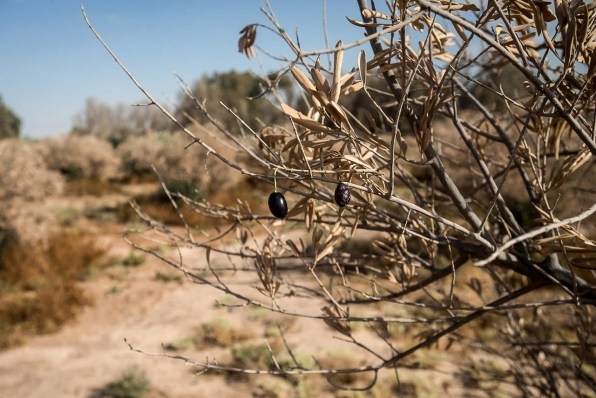 How the Weather Channel is documenting the damage of climate change | DeviceDaily.com