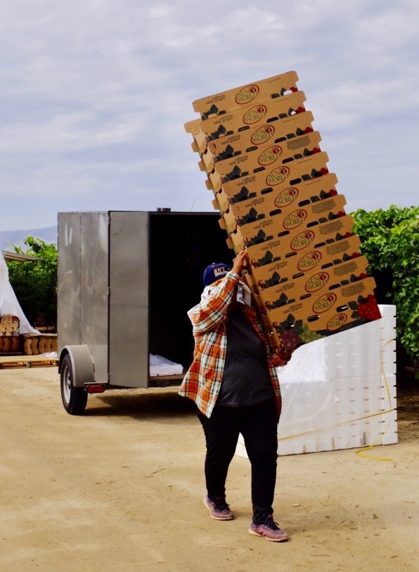 How a small worker-controlled farm collective could transform labor for decades | DeviceDaily.com