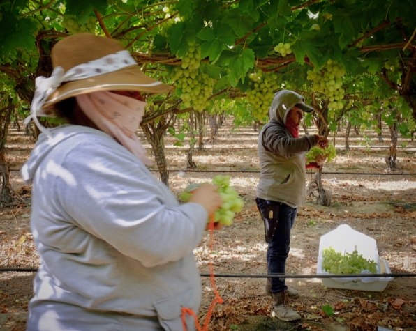 How a small worker-controlled farm collective could transform labor for decades | DeviceDaily.com