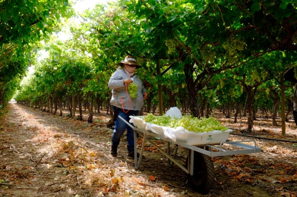 How a small worker-controlled farm collective could transform labor for decades | DeviceDaily.com