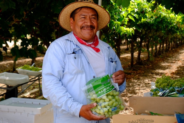 How a small worker-controlled farm collective could transform labor for decades | DeviceDaily.com