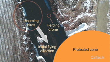 Autonomous drones can herd birds away from airports | DeviceDaily.com