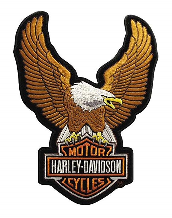 Harley-Davidson Shares Slide On Sinking gross sales file | DeviceDaily.com