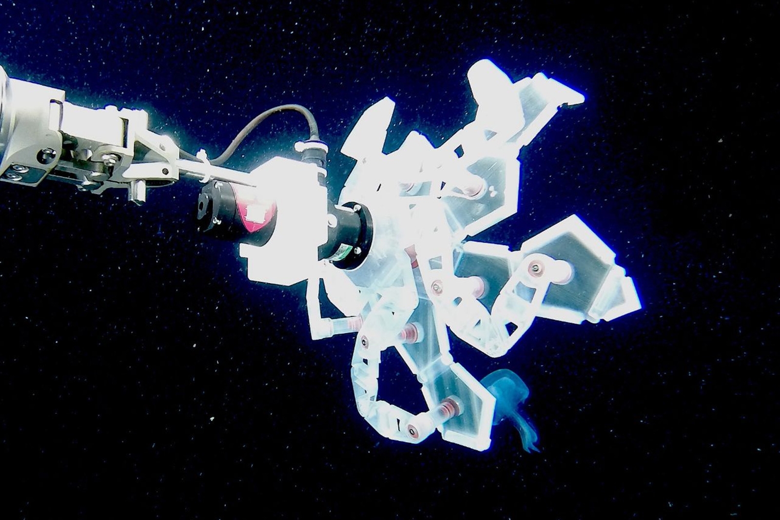 Harvard's robot arm can grab squishy sea animals without hurting them | DeviceDaily.com