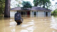 How the money donated to Hurricane Harvey relief was spent