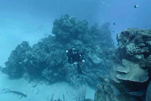 Hydrus VR camera brings immersive 8K video to the deep sea