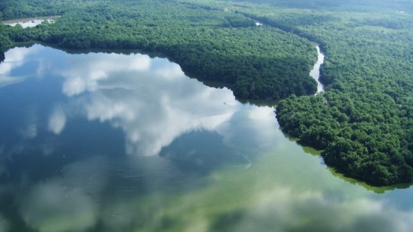 Apple is investing in a huge mangrove forest in Colombia | DeviceDaily.com