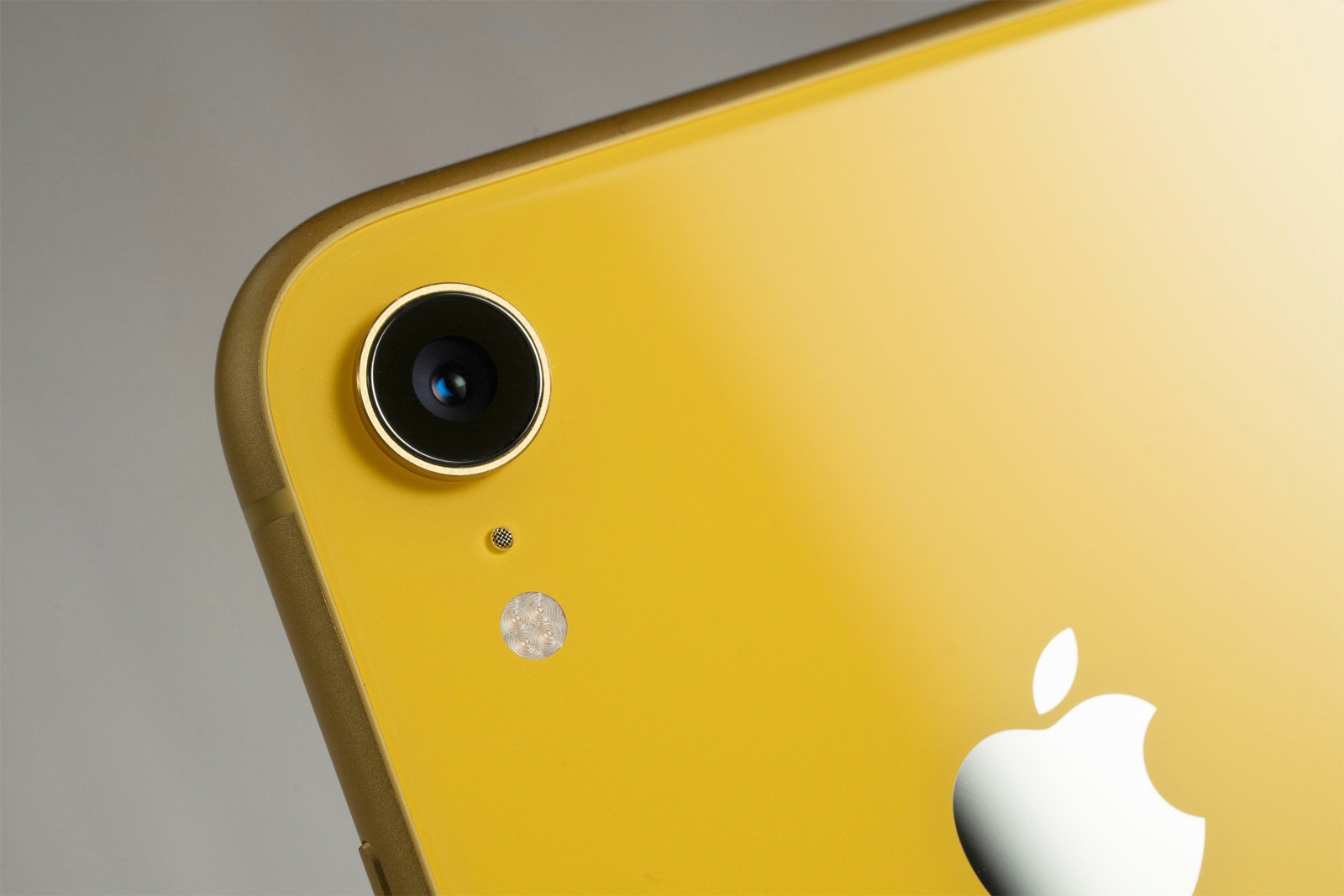 iPhone XR may take portrait photos of non-humans through an app | DeviceDaily.com