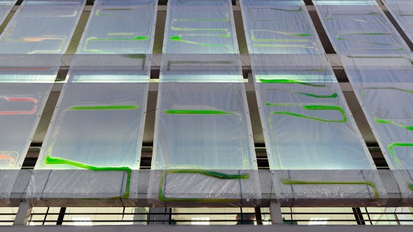 These algae-filled “urban curtains” suck CO2 from the air | DeviceDaily.com