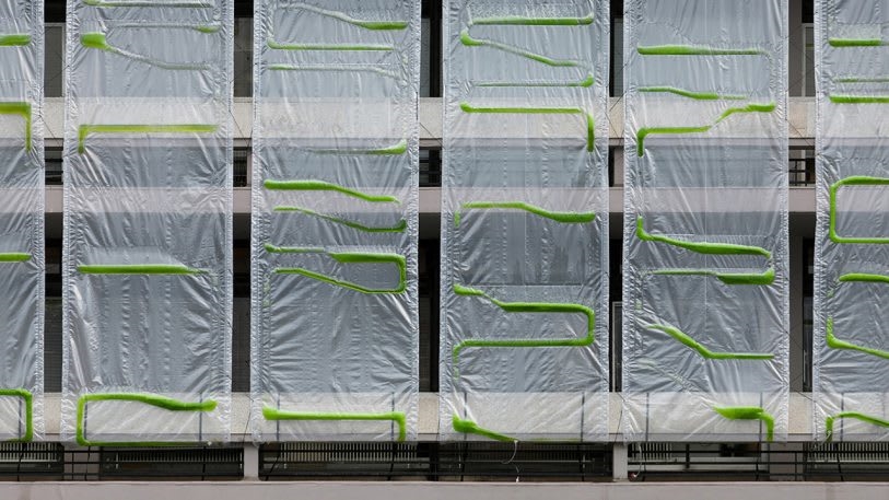These algae-filled “urban curtains” suck CO2 from the air | DeviceDaily.com