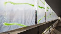 These algae-filled “urban curtains” suck CO2 from the air