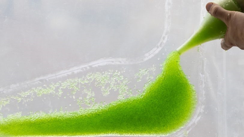 These algae-filled “urban curtains” suck CO2 from the air | DeviceDaily.com