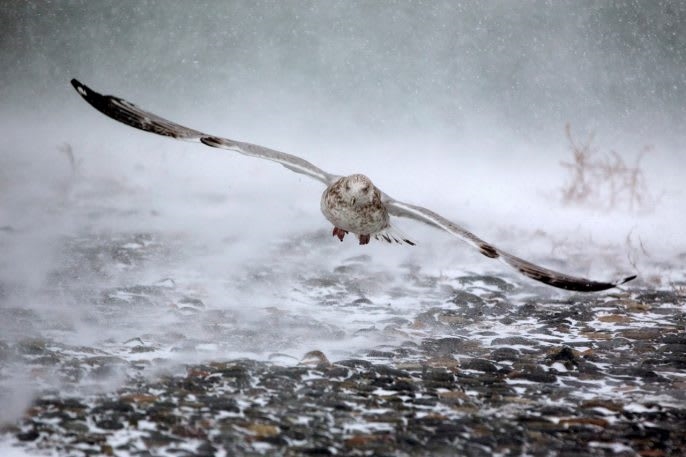 These photos capture the devastation of a year of natural disasters | DeviceDaily.com