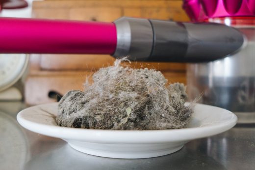 What’s the best vacuum for pet hair?