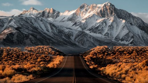 Patagonia is giving its $10 million tax cut back to the planet