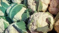 Wegmans cauliflower recall: 4 products to avoid over E. coli fears