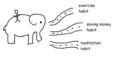 The Habits | DeviceDaily.com