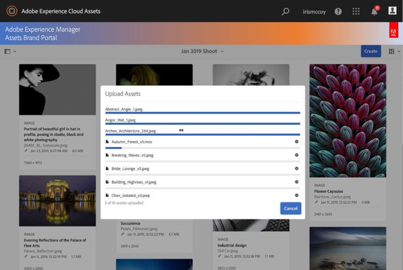 Adobe Experience Manager adds features to help marketers manage assets, optimize video | DeviceDaily.com
