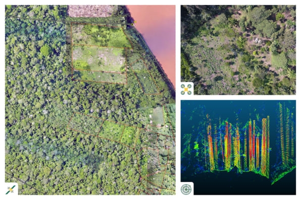 How drones and satellite images are measuring the forests used for carbon offsets | DeviceDaily.com