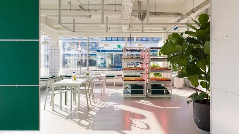 How Ikea’s innovation lab redesigned its own open plan office | DeviceDaily.com