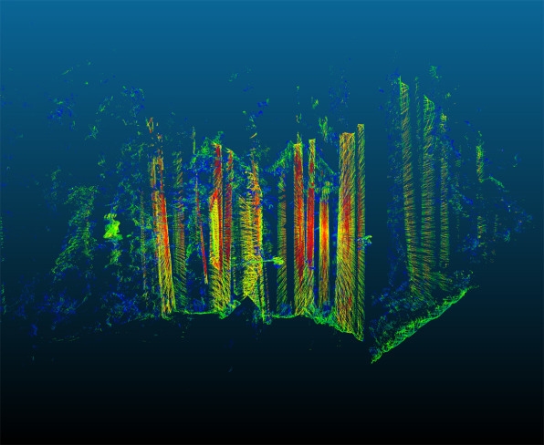 How drones and satellite images are measuring the forests used for carbon offsets | DeviceDaily.com