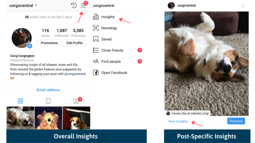 How to Use Instagram Insights to Beat the Instagram Algorithm | DeviceDaily.com