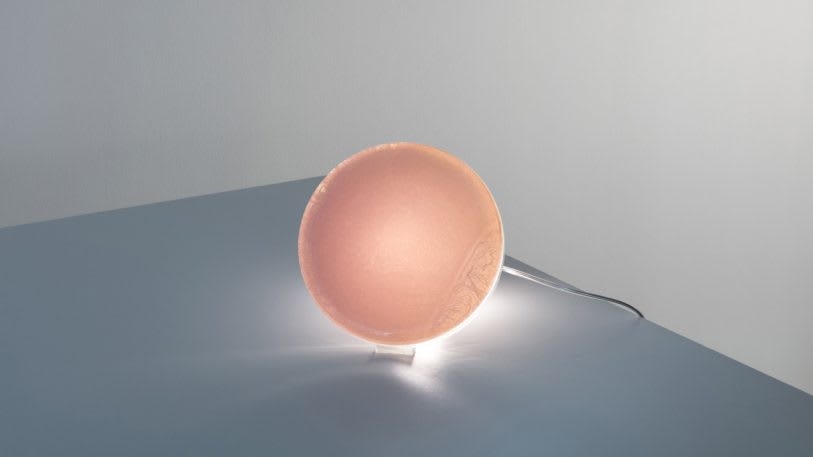 These lamps preserve the bacteria of your favorite people, pets, and places | DeviceDaily.com
