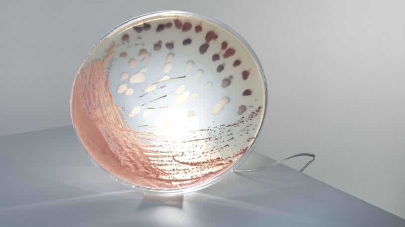 These lamps preserve the bacteria of your favorite people, pets, and places | DeviceDaily.com