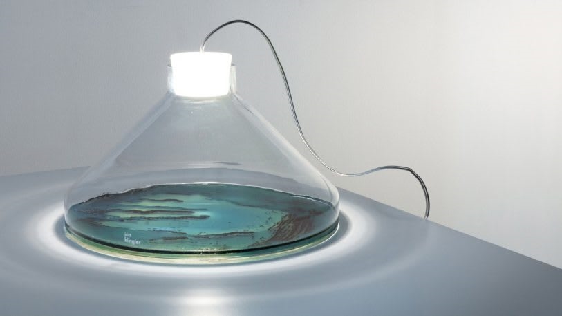 These lamps preserve the bacteria of your favorite people, pets, and places | DeviceDaily.com