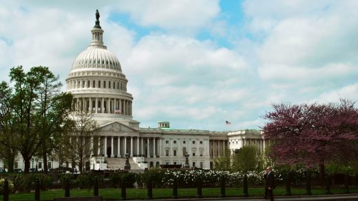 The Senate just voted to overturn Trump’s border wall emergency declaration