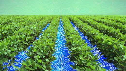 The shape of water: How agtech is making irrigation more efficient