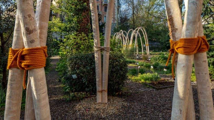 See the first architectural arches grown in a lab | DeviceDaily.com