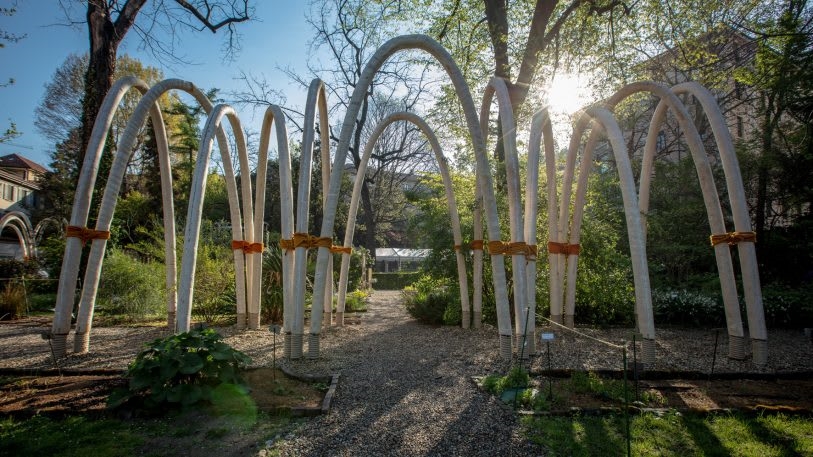 See the first architectural arches grown in a lab | DeviceDaily.com