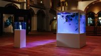 This “plasticarium” shows you what the plastic-filled ocean actually looks like