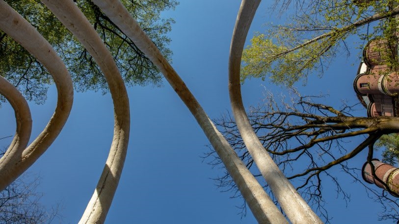 See the first architectural arches grown in a lab | DeviceDaily.com