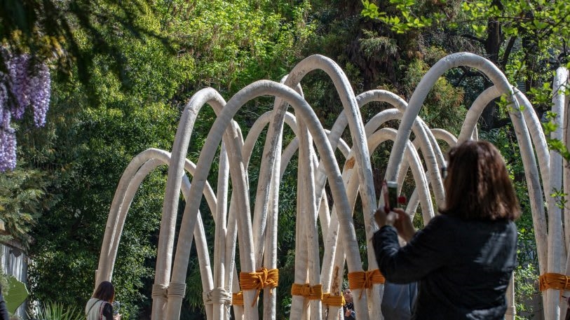 See the first architectural arches grown in a lab | DeviceDaily.com