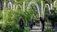 See the first architectural arches grown in a lab