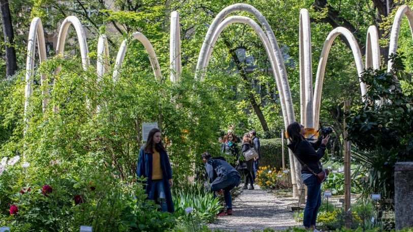 See the first architectural arches grown in a lab | DeviceDaily.com